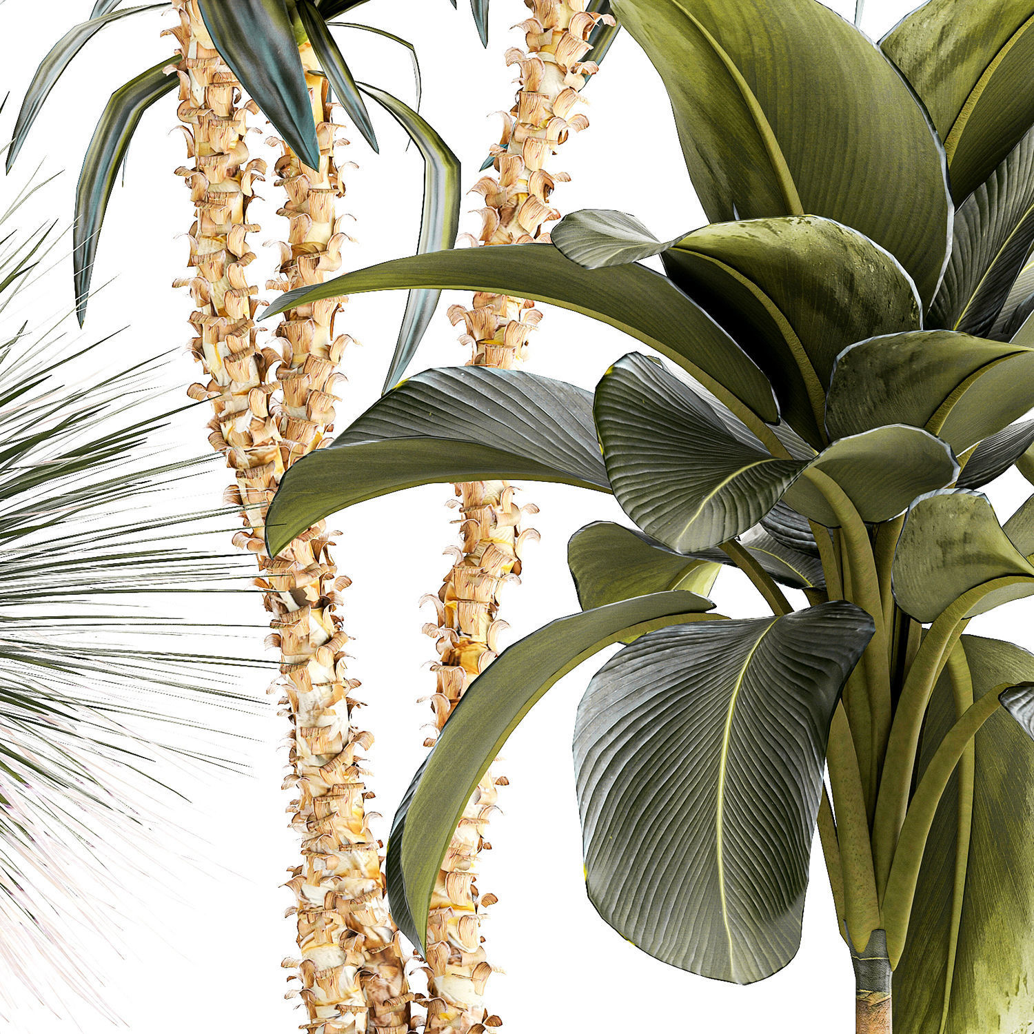 Set of beautiful desert plants in flowerpots for decor 1321 3D model_11