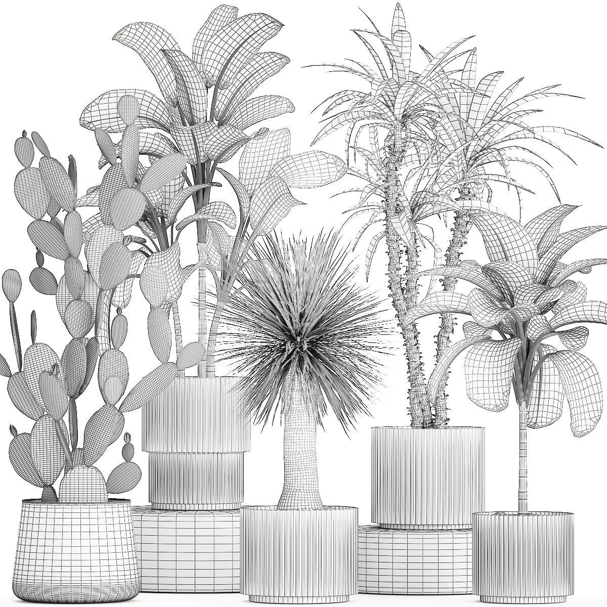 Set of beautiful desert plants in flowerpots for decor 1321 3D model_14
