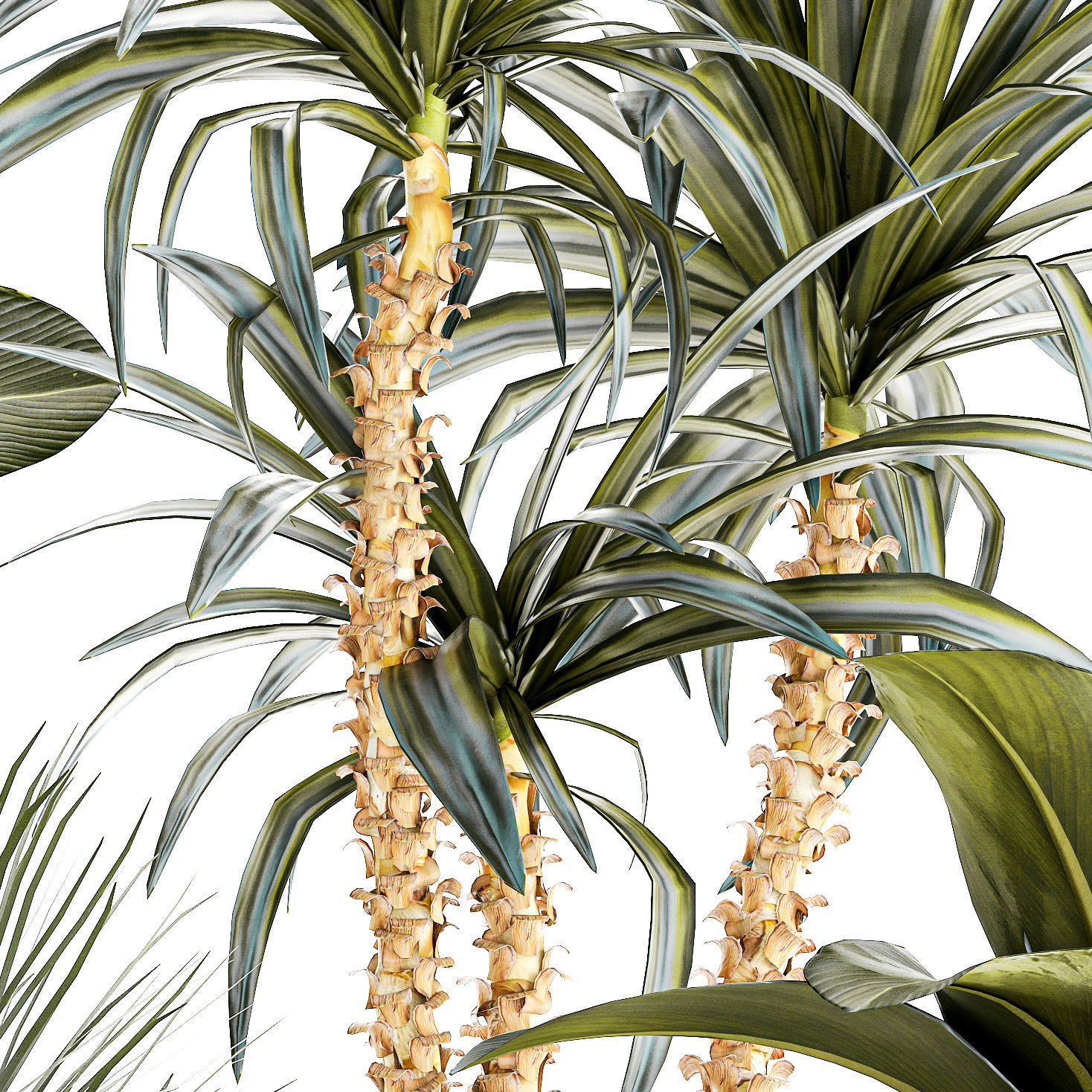 Set of beautiful desert plants in flowerpots for decor 1321 3D model_13