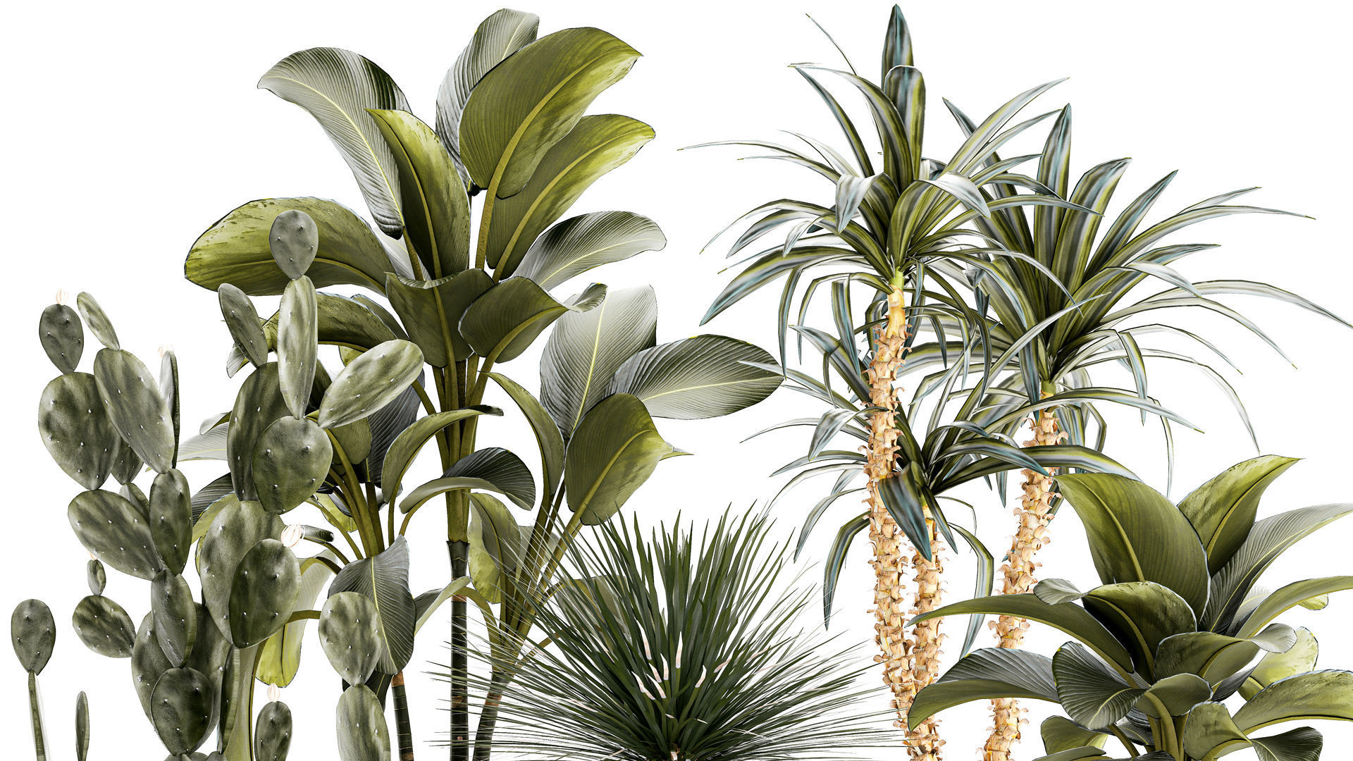 Set of beautiful desert plants in flowerpots for decor 1321 3D model_2