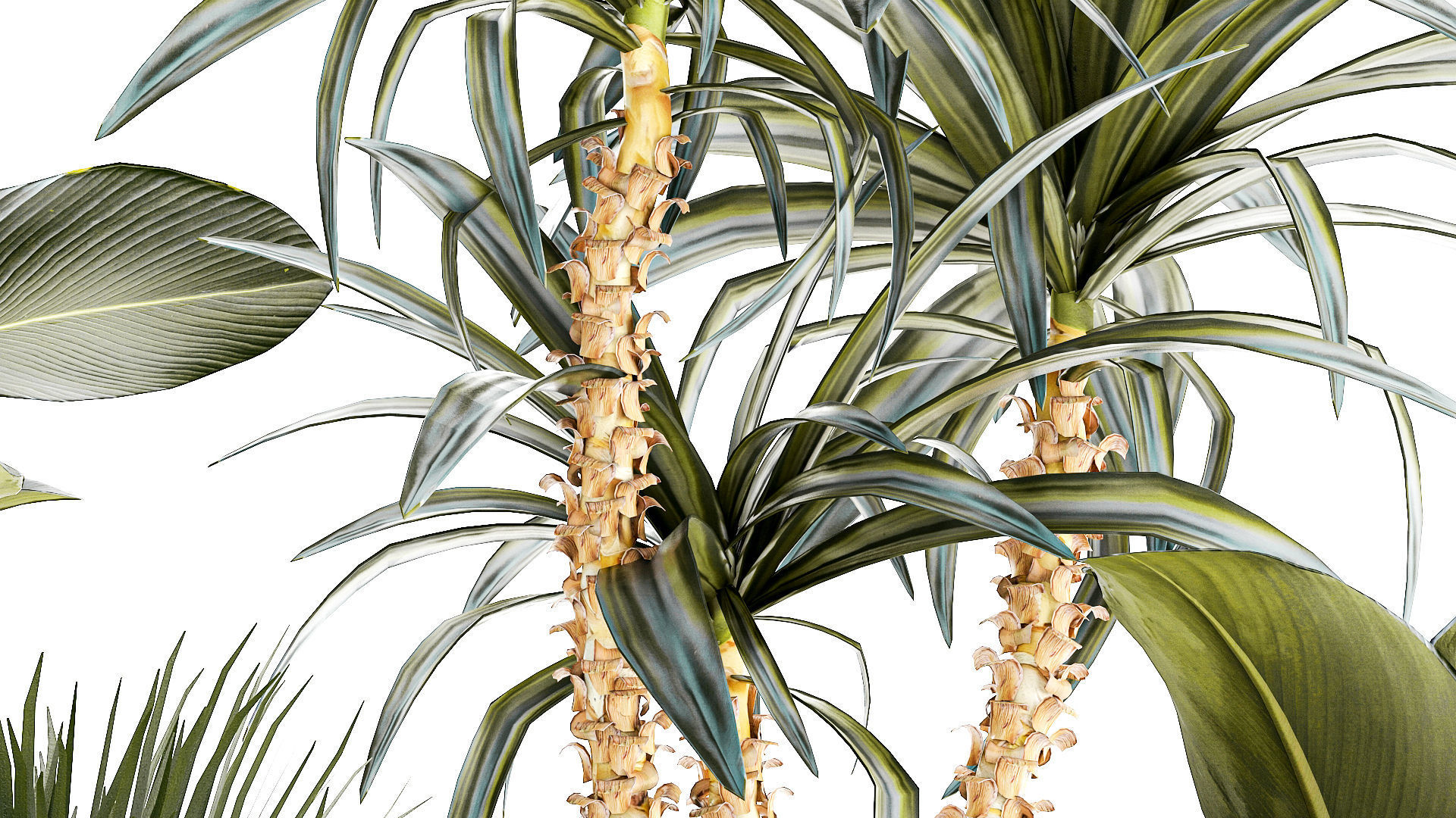 Set of beautiful desert plants in flowerpots for decor 1321 3D model_5