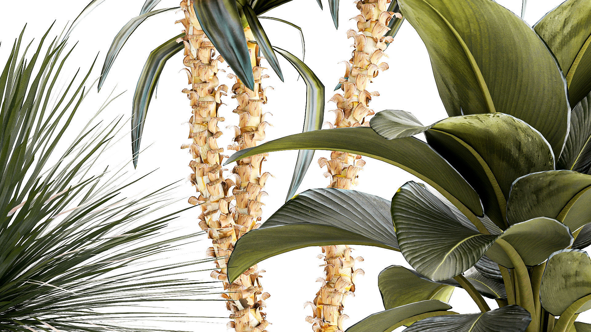 Set of beautiful desert plants in flowerpots for decor 1321 3D model_4