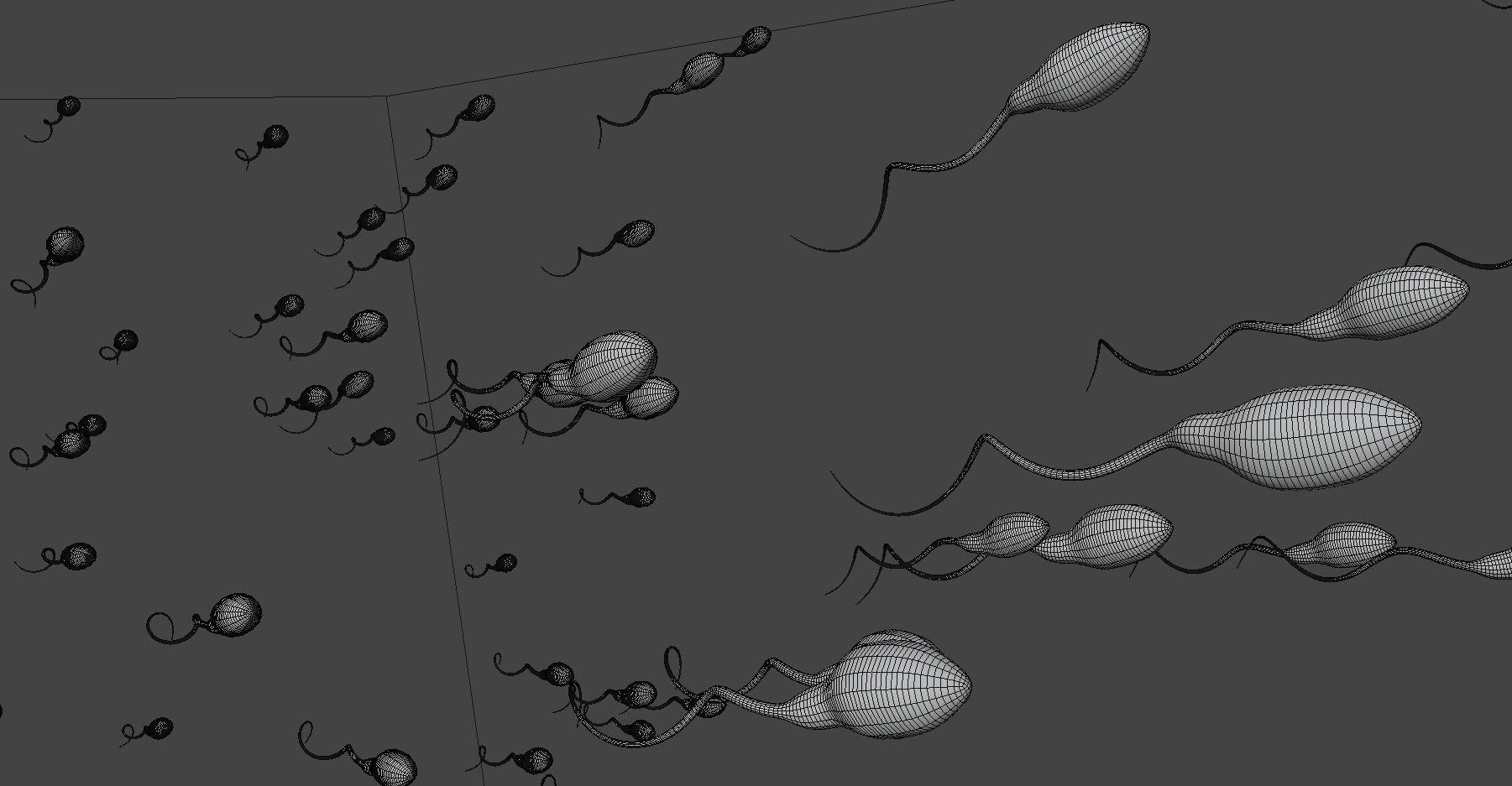 Medical Tadpole microbiome sperm Low-poly 3D model_4