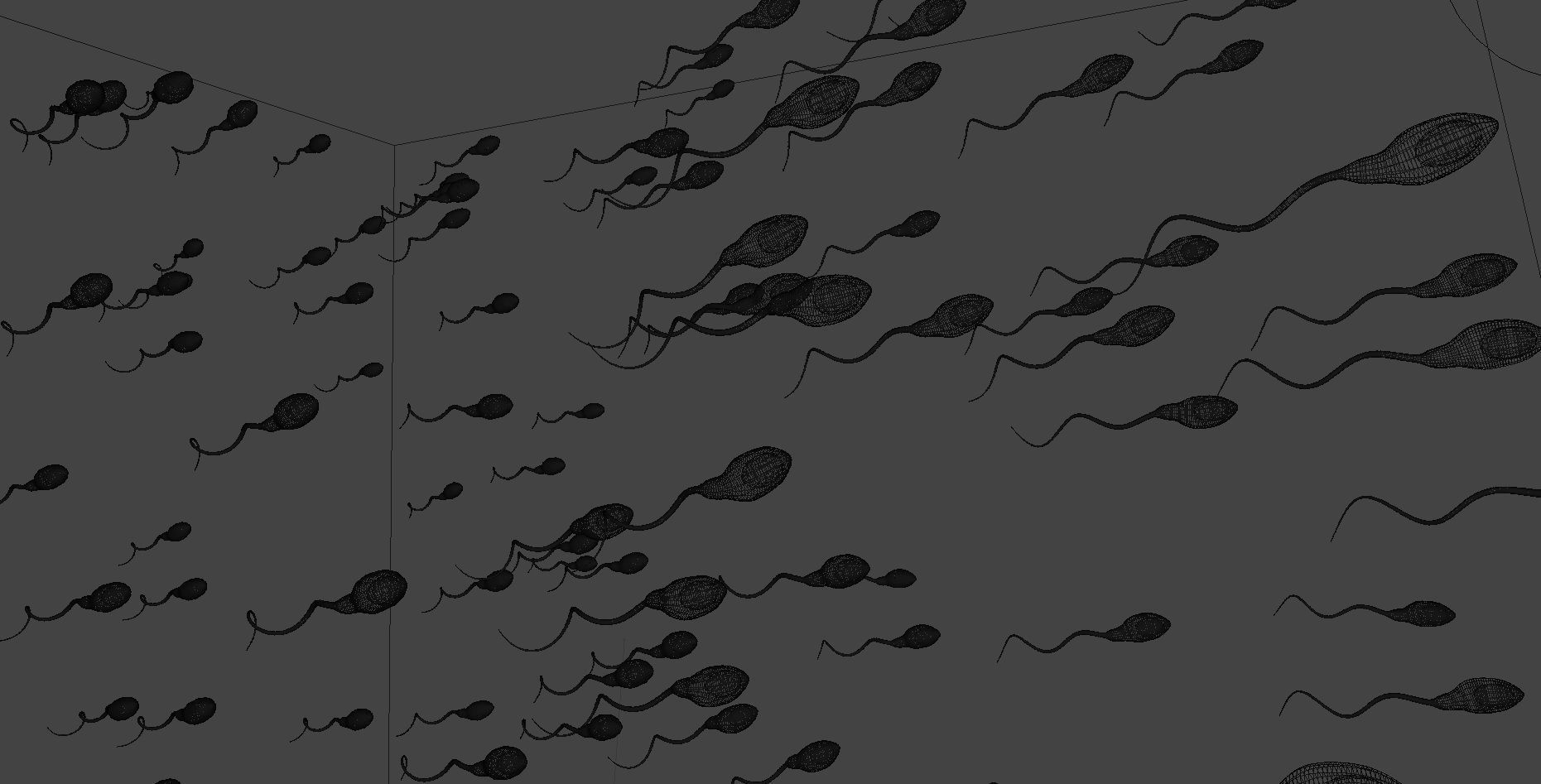 Medical Tadpole microbiome sperm Low-poly 3D model_5