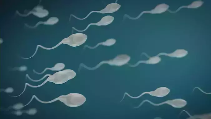 Medical Tadpole microbiome sperm