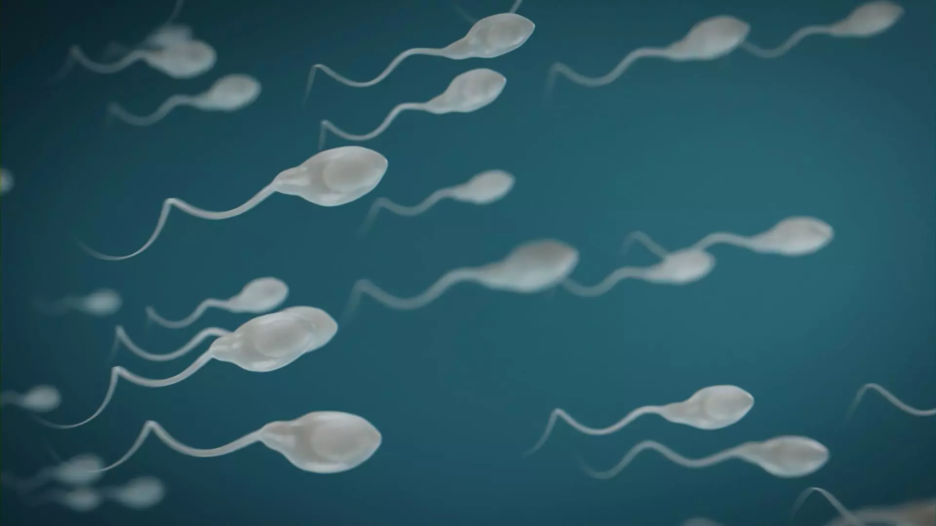 Medical Tadpole microbiome sperm Low-poly 3D model_0