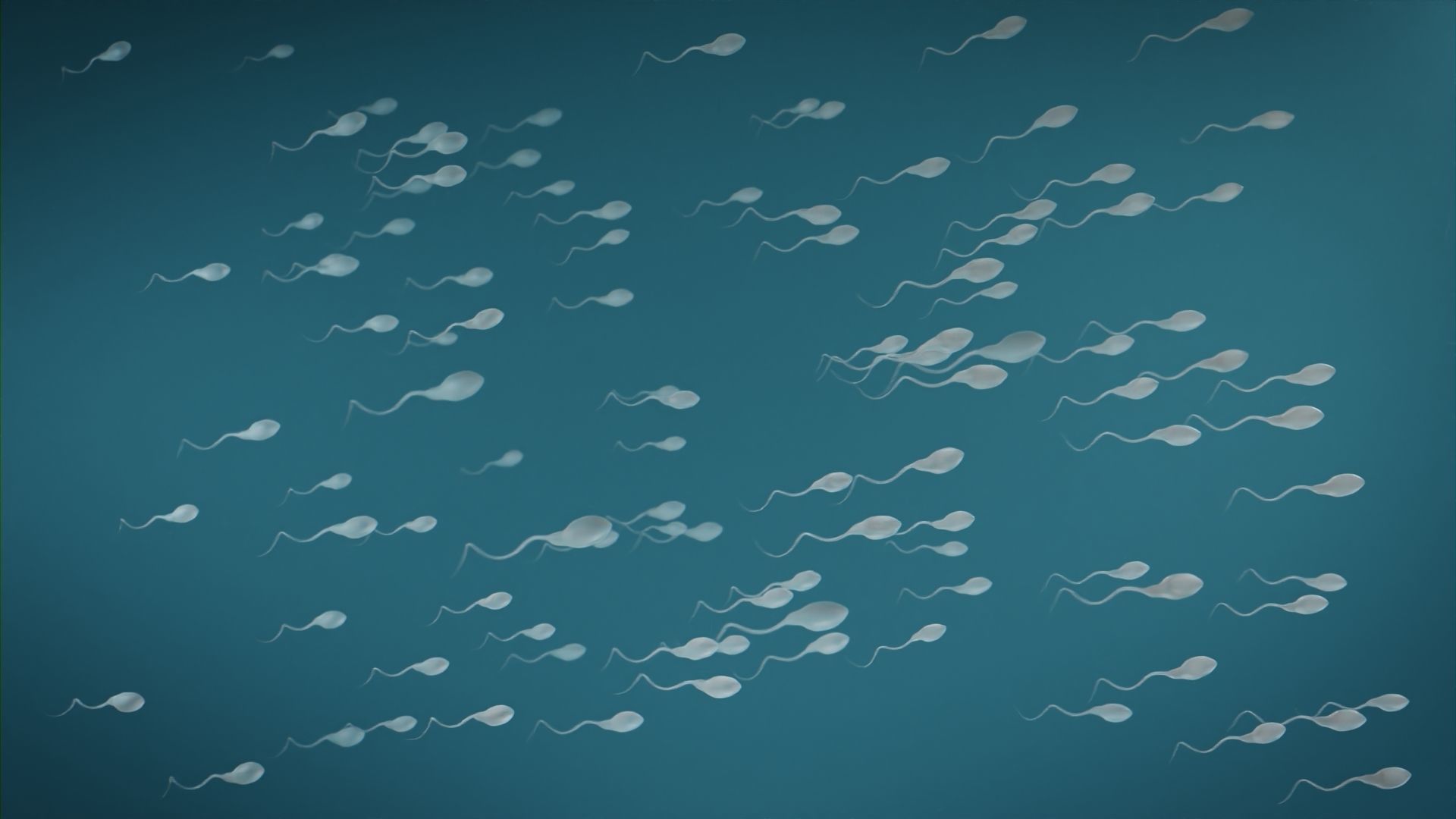 Medical Tadpole microbiome sperm Low-poly 3D model_2