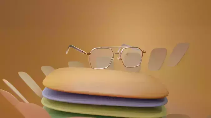 3D Glasses
