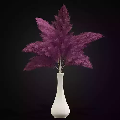 Bouquet of pink pampas