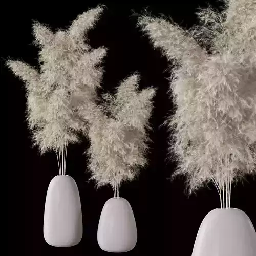 Decorative Pampas 3D model