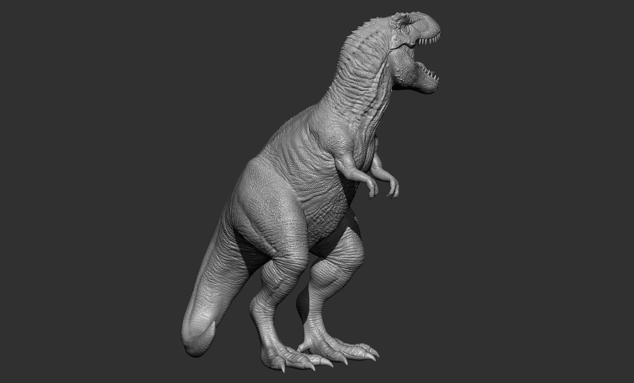 17 Tyrannosaurus t rex  poses 3D model_47