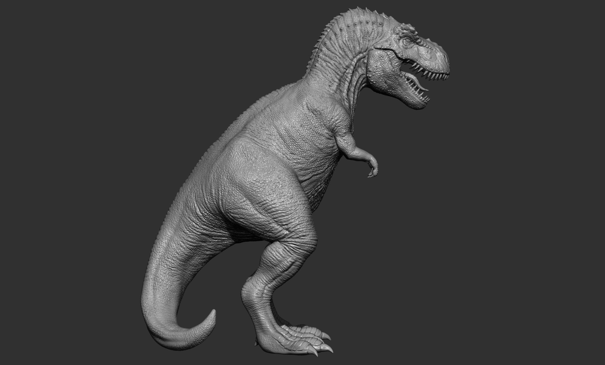 17 Tyrannosaurus t rex  poses 3D model_63