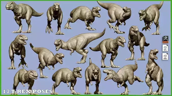 17 Tyrannosaurus t rex  poses 3D model