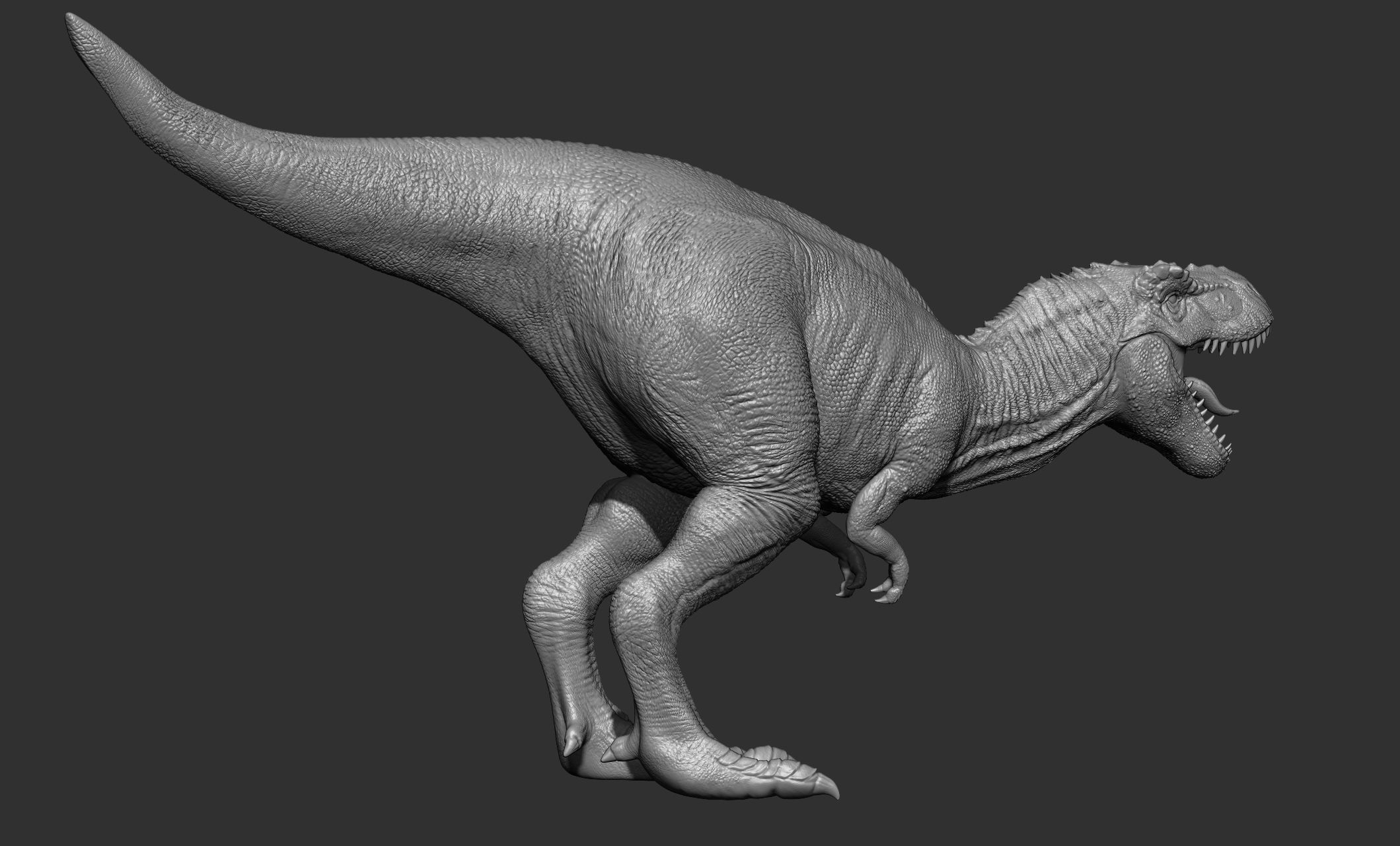 17 Tyrannosaurus t rex  poses 3D model_24