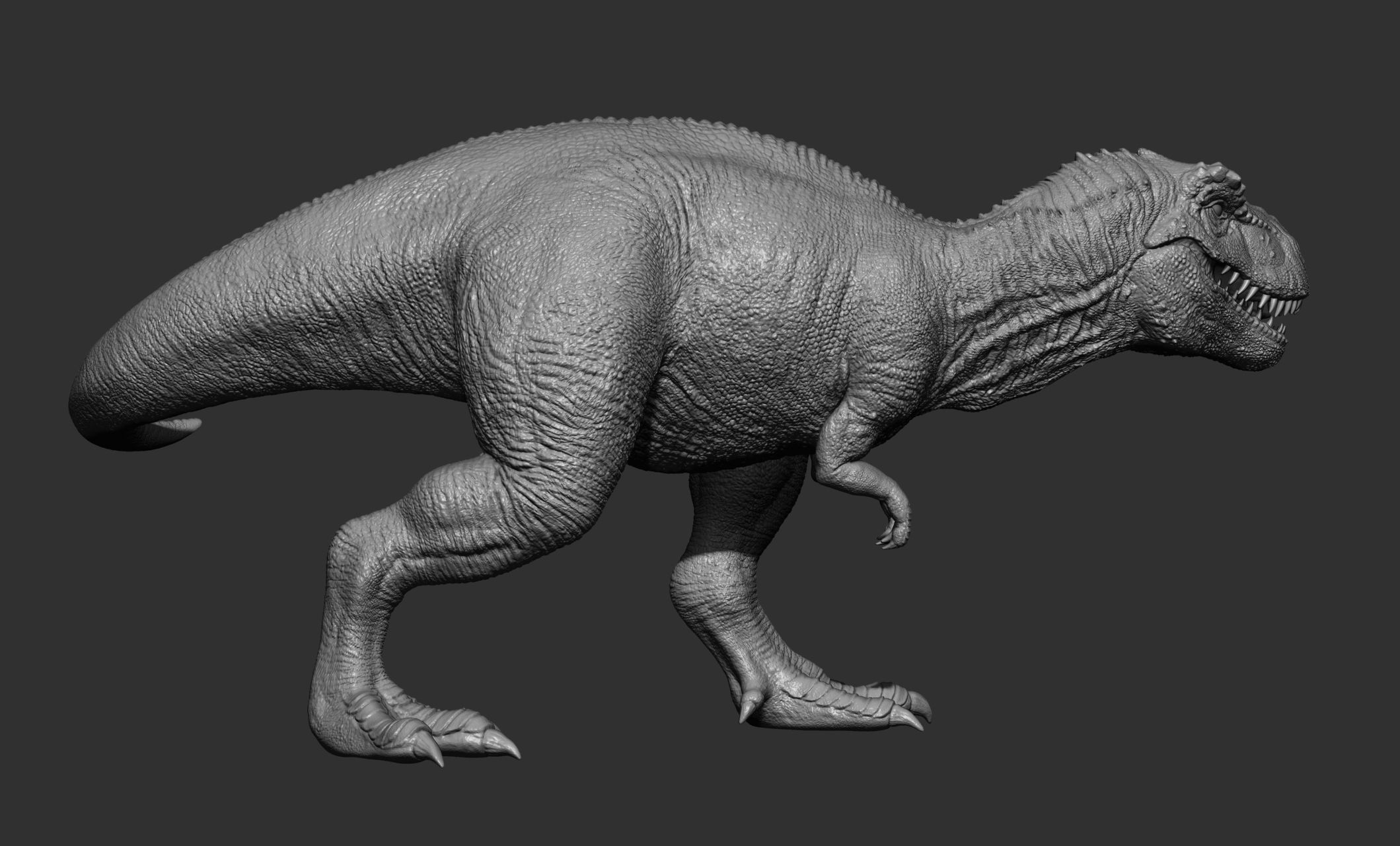 17 Tyrannosaurus t rex  poses 3D model_58