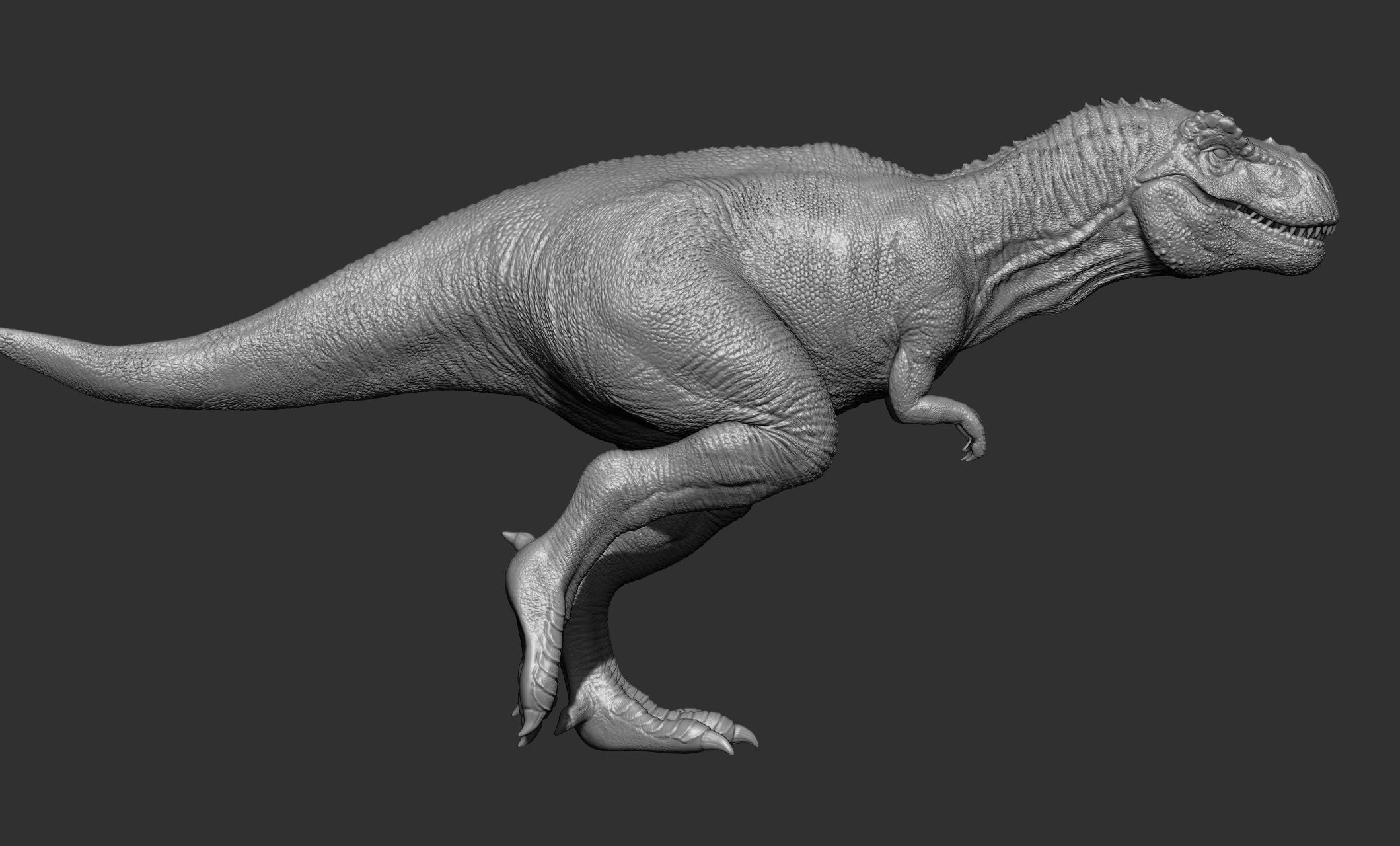 17 Tyrannosaurus t rex  poses 3D model_83