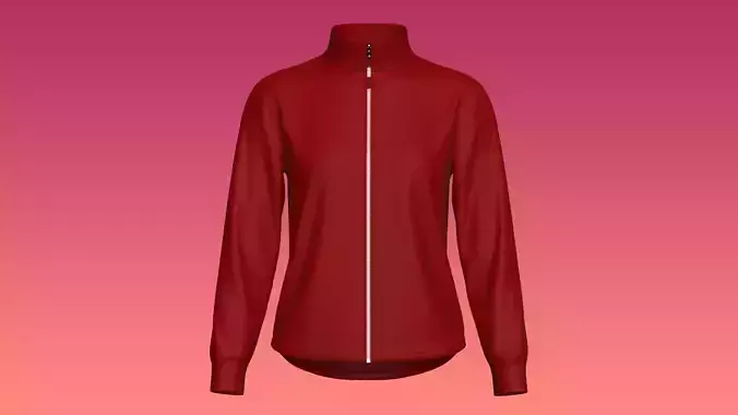 Elegant Ladies Winter Jacket