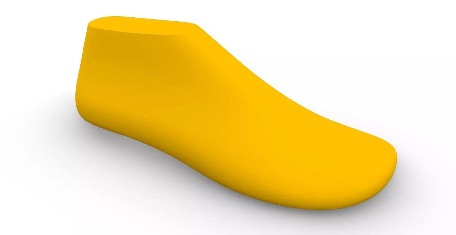 Shoe Last Good for Slides 3D print model_0