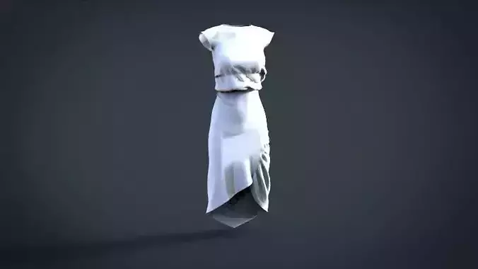 simple female cloth Free 3D model