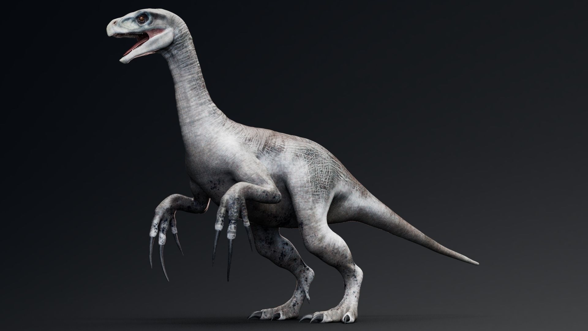 Dinosaur Therizinosaurus Real Dinosaur Series Low-poly 3D model_15