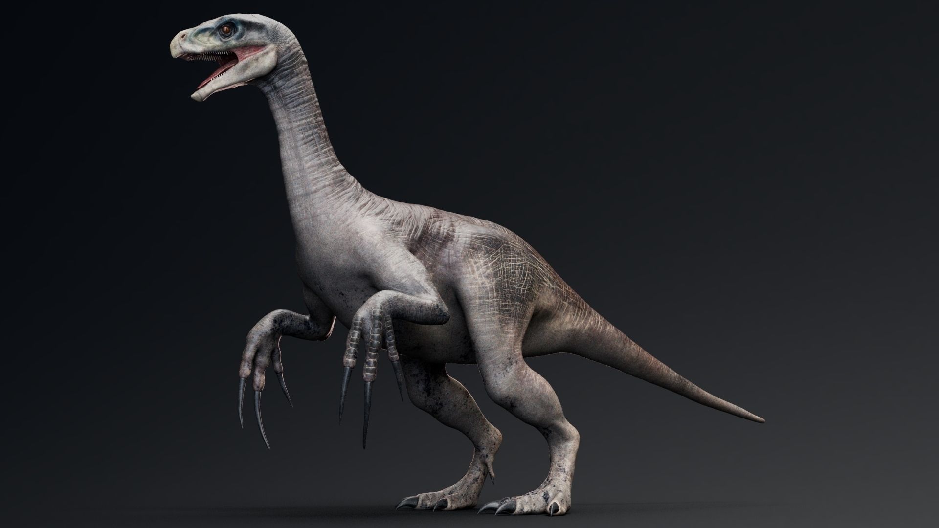 Dinosaur Therizinosaurus Real Dinosaur Series Low-poly 3D model_13