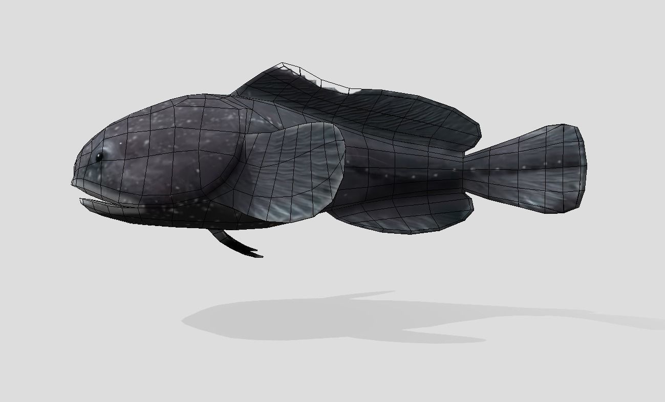 Blobfish Realistic Animated Low-poly 3D model_4