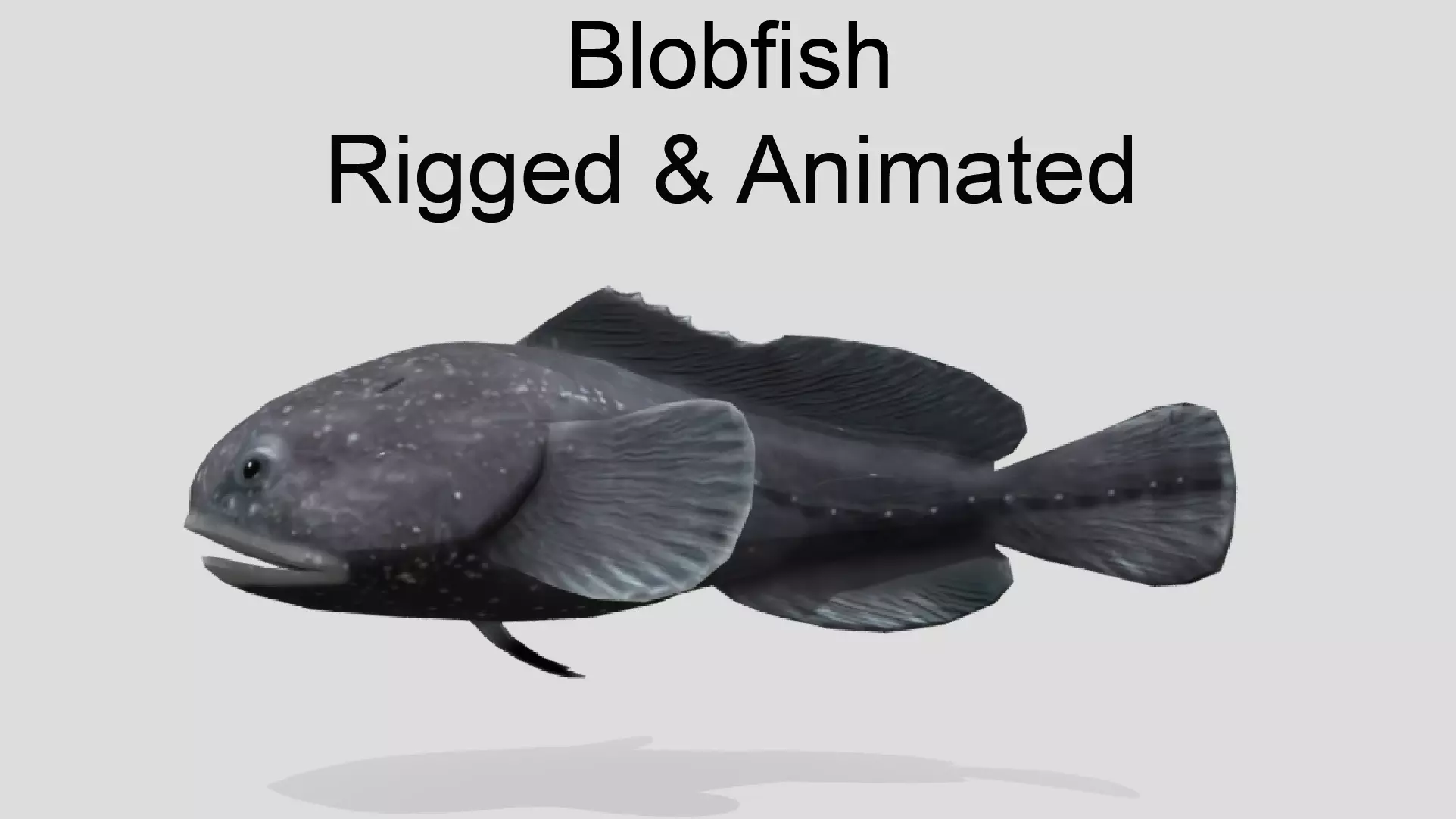 Blobfish Realistic Animated Low-poly 3D model_0