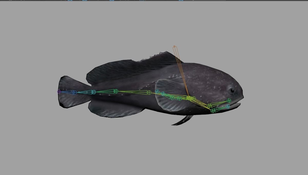 Blobfish Realistic Animated Low-poly 3D model_2