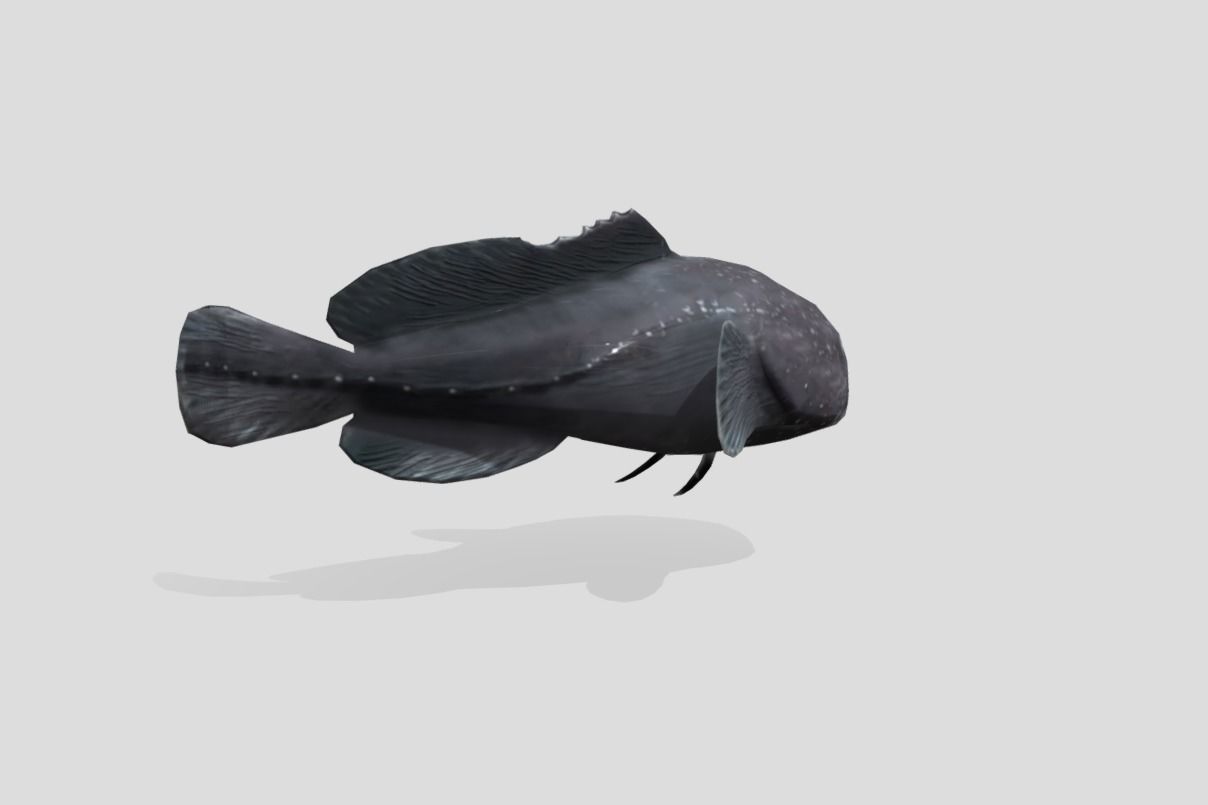 Blobfish Realistic Animated Low-poly 3D model_13