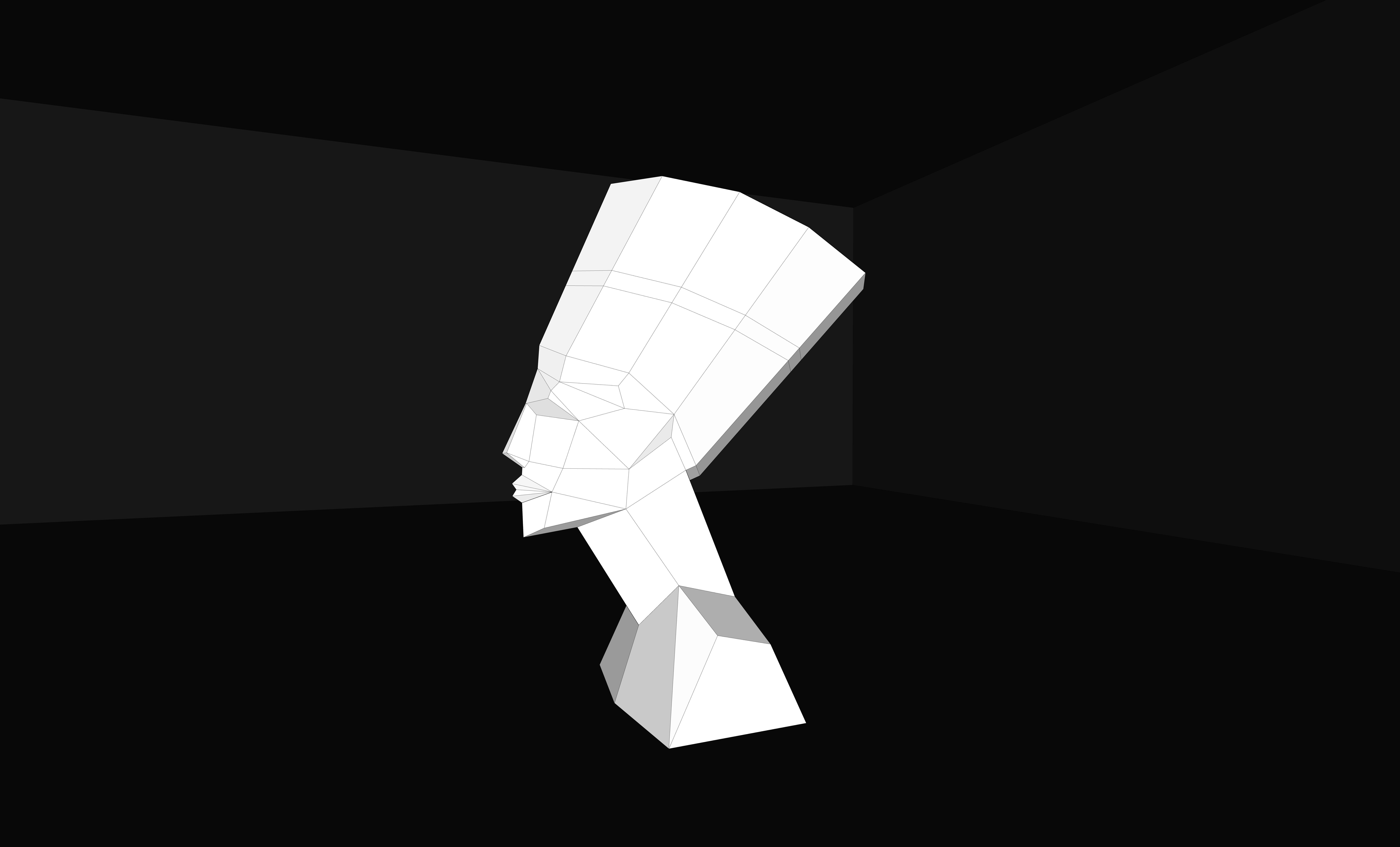 Nifertiti paper craft metal work 3D model_4