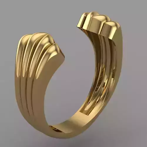 Ring Jewellery for Women 3D print model