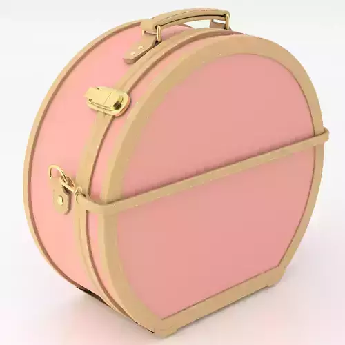 Steamline Correspondent Pink Hatbox Large Leather Pink