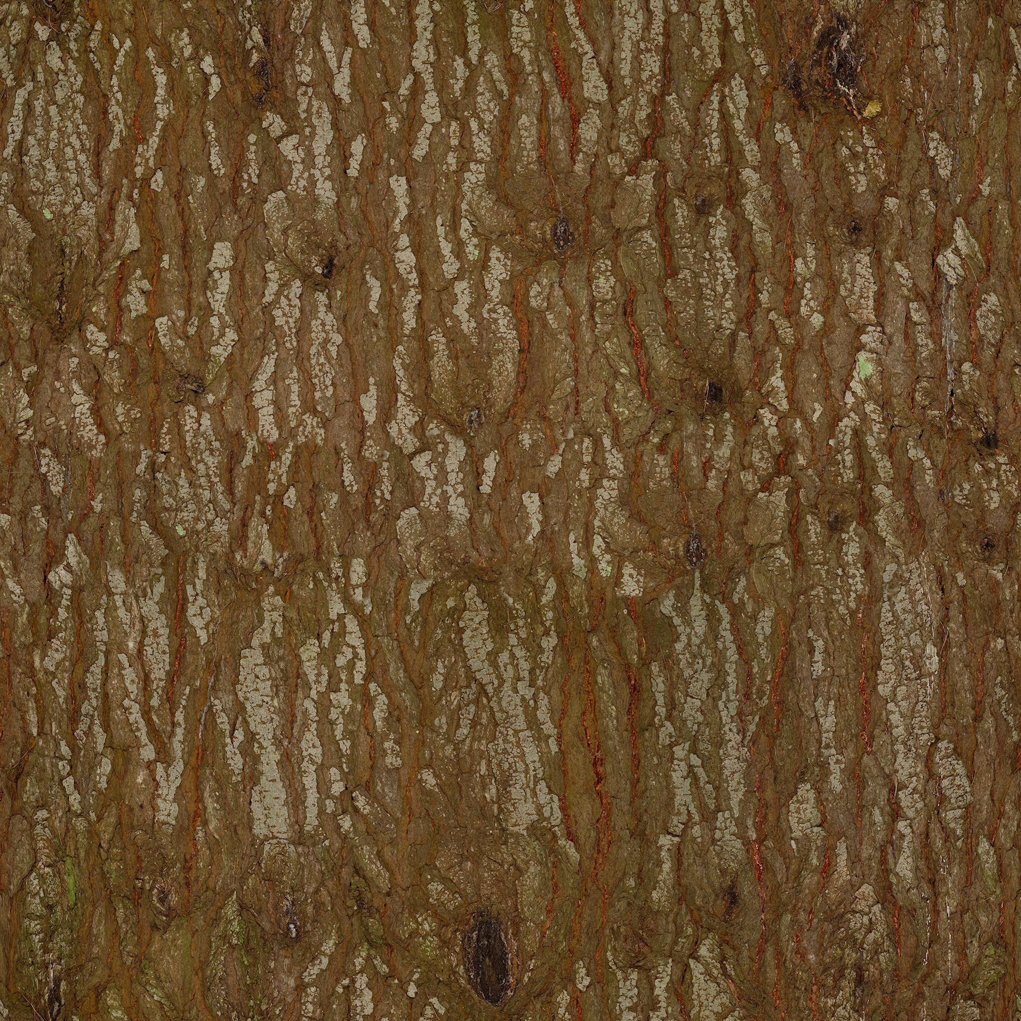 Japanese topiary - cloud prunning pine tree 3D model 3D model_8