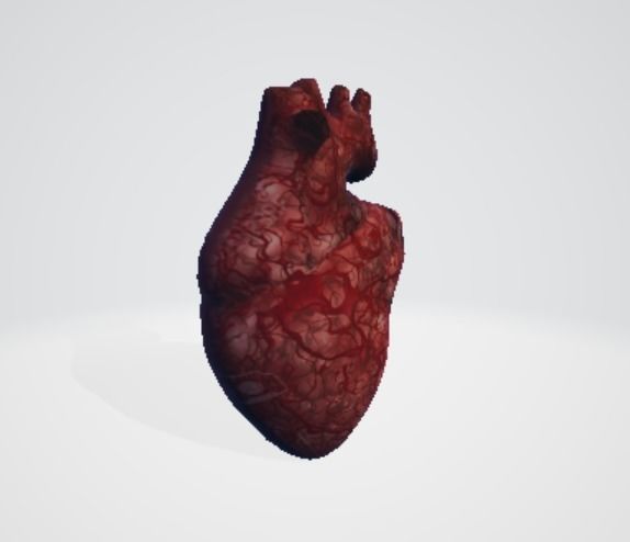 Realistic and Symbolic Heart - Beating and Still Variants Free low-poly 3D model_6