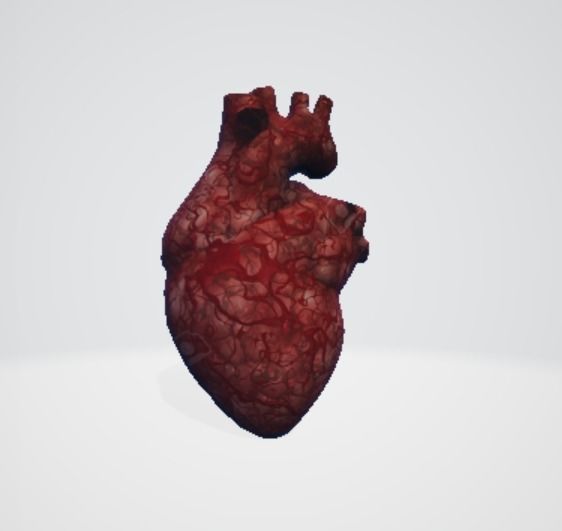 Realistic and Symbolic Heart - Beating and Still Variants Free low-poly 3D model_7