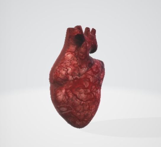 Realistic and Symbolic Heart - Beating and Still Variants Free low-poly 3D model_5