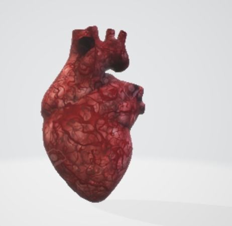 Realistic and Symbolic Heart - Beating and Still Variants Free low-poly 3D model_9