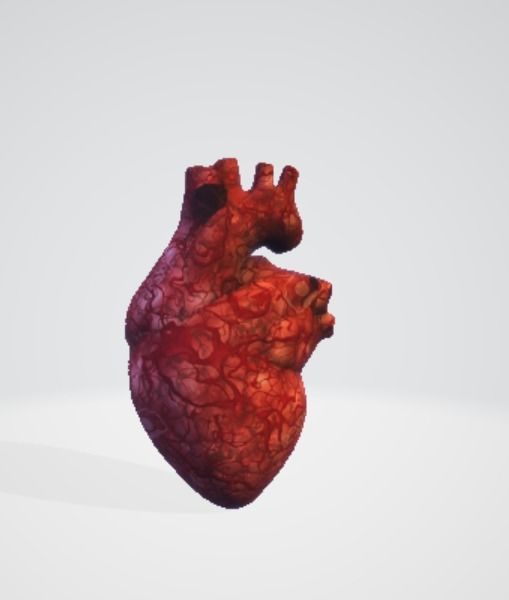 Realistic and Symbolic Heart - Beating and Still Variants Free low-poly 3D model_3