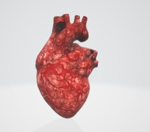 Realistic and Symbolic Heart - Beating and Still Variants Free low-poly 3D model_10