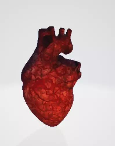 Realistic and Symbolic Heart - Beating and Still Variants Free low-poly 3D model_0