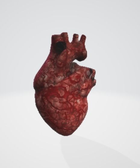 Realistic and Symbolic Heart - Beating and Still Variants Free low-poly 3D model_8