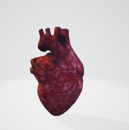 Realistic and Symbolic Heart - Beating and Still Variants Free low-poly 3D model_4
