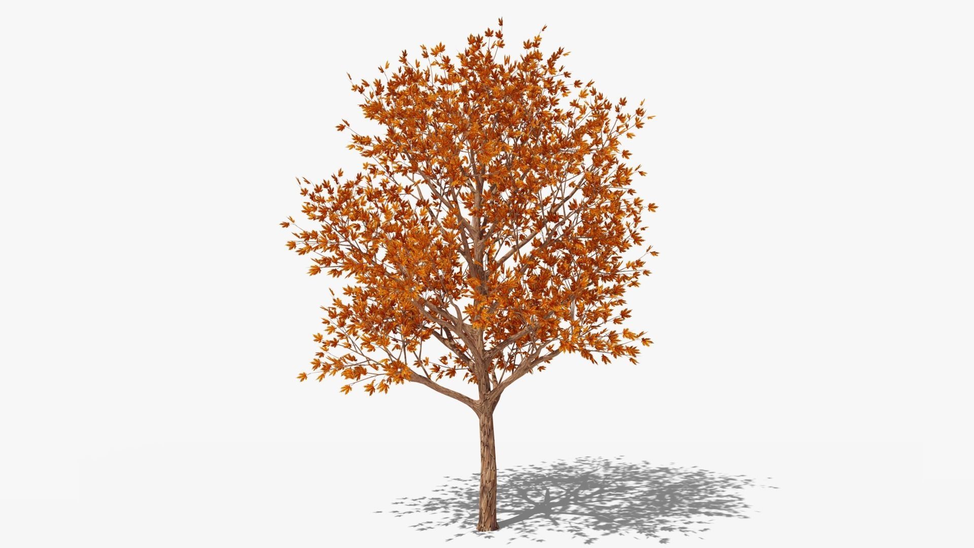 Stylized Cartoon Maple Tree with Red Leaves Low-poly 3D model_2
