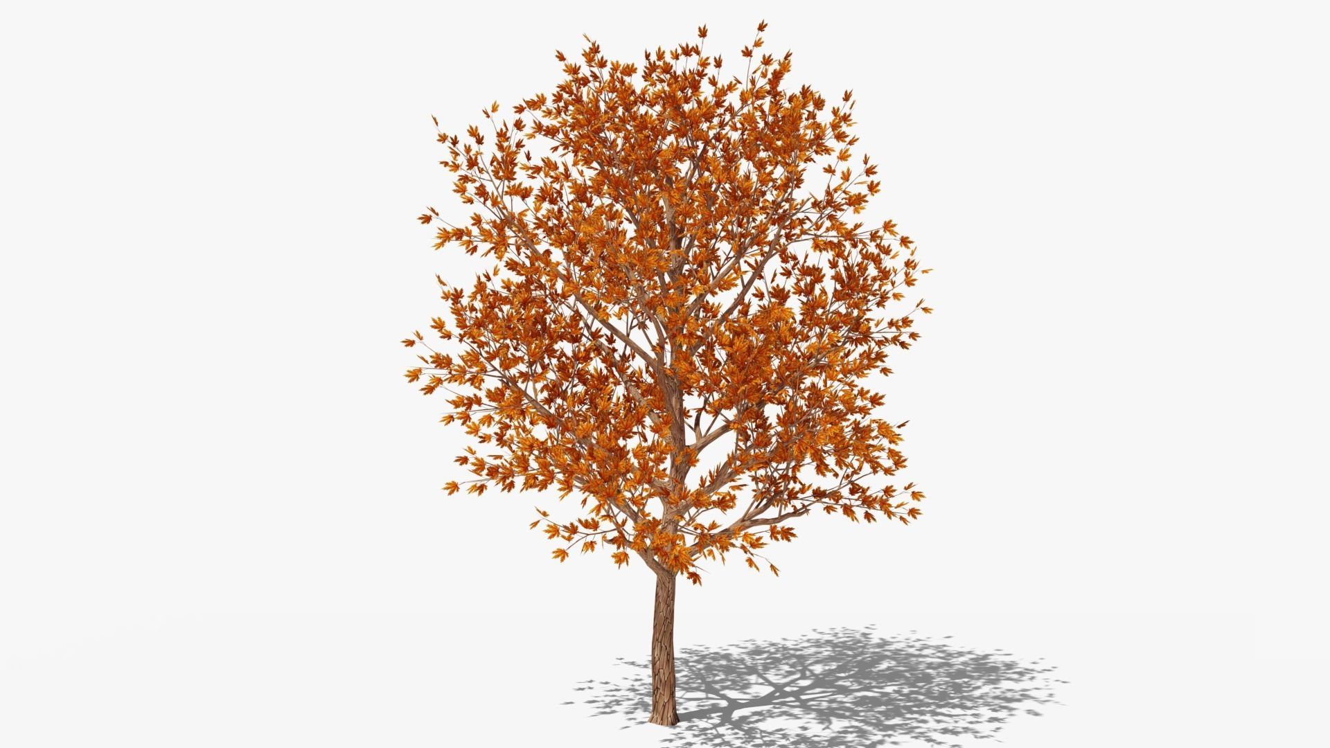 Stylized Cartoon Maple Tree with Red Leaves Low-poly 3D model_5