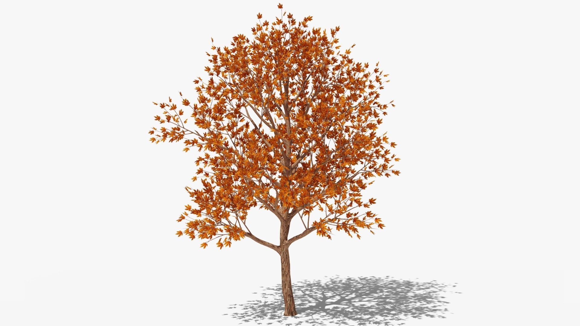 Stylized Cartoon Maple Tree with Red Leaves Low-poly 3D model_4