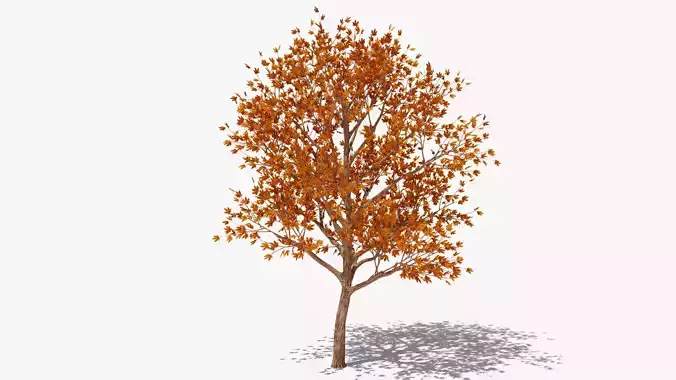 Stylized Cartoon Maple Tree with Red Leaves Low-poly 3D model
