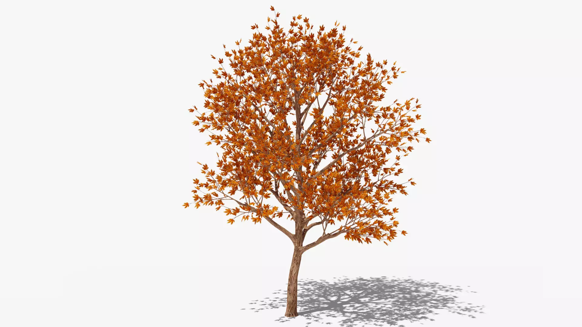 Stylized Cartoon Maple Tree with Red Leaves Low-poly 3D model_0