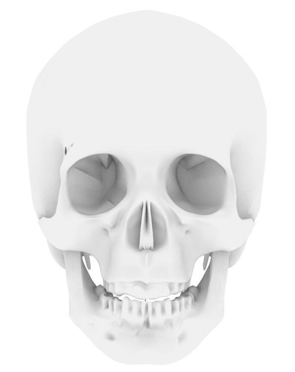Insertable Human Skull and Brain 3D print model_15