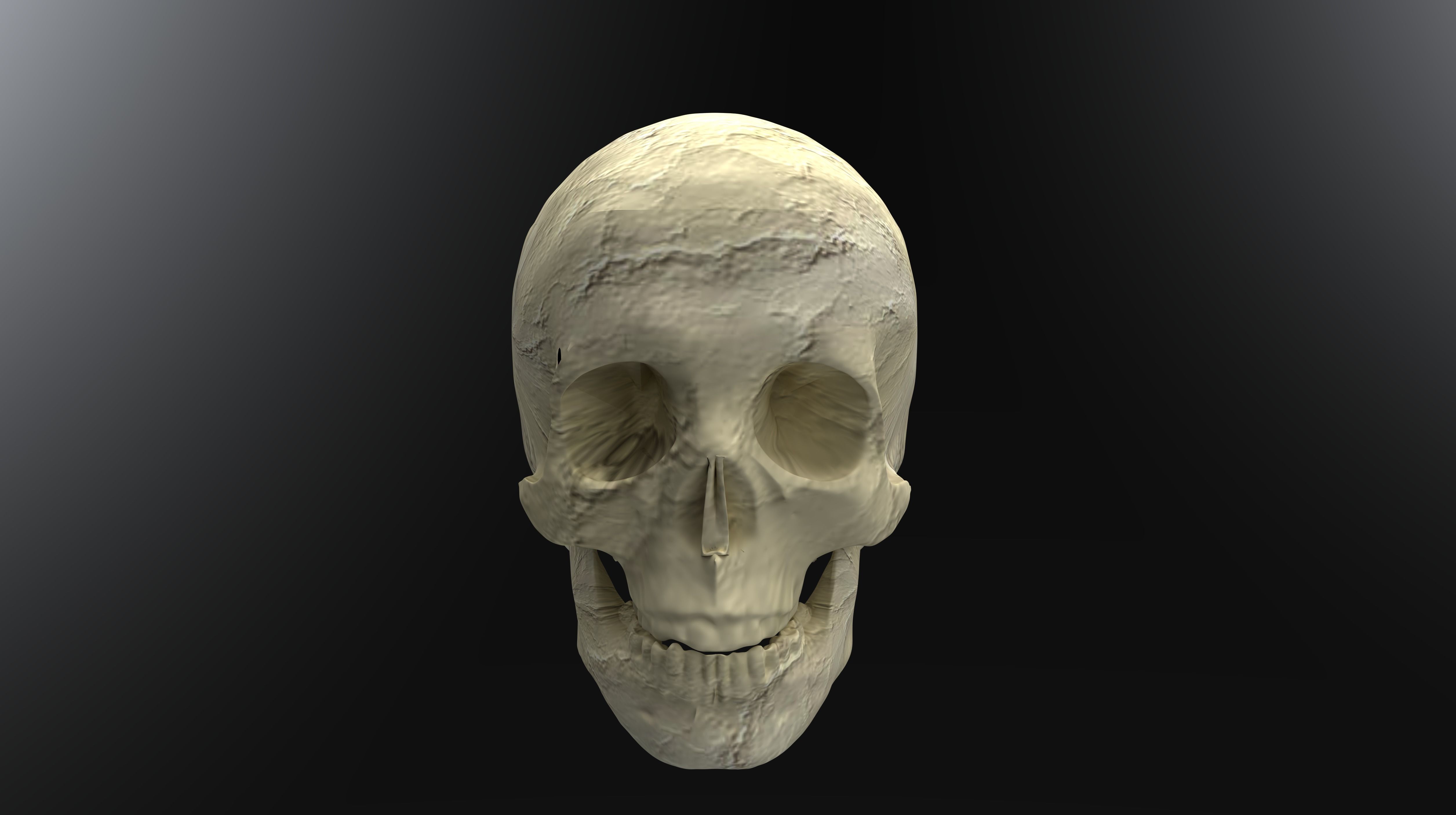 Insertable Human Skull and Brain 3D print model_5