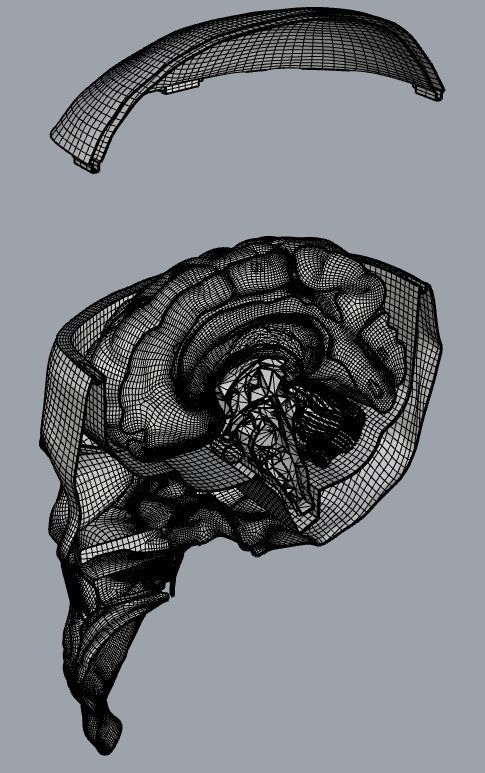 Insertable Human Skull and Brain 3D print model_17